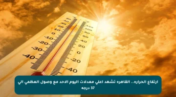 ارتفاع الحرارة.. القاهرة تشهد أعلى معدلات اليوم الأحد مع وصول العظمى إلى 37 درجة